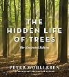 The Hidden Life of Trees: The Illustrated Edition