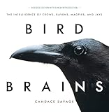 Bird Brains: The Intelligence of Crows, Ravens, Magpies, and Jays