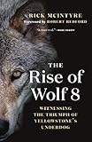 The Rise Of Wolf 8 Witnessing The Triumph Of Yellowstones Underdog The Alpha Wolves Of Yellowstone 1