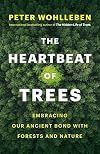 The Heartbeat of Trees: Embracing Our Ancient Bond with Forests and Nature