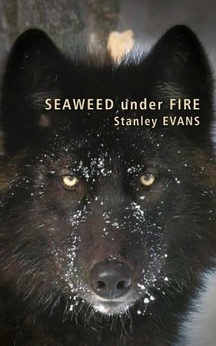 Seaweed Under Fire book cover