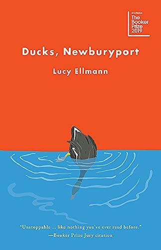 Ducks, Newburyport cover