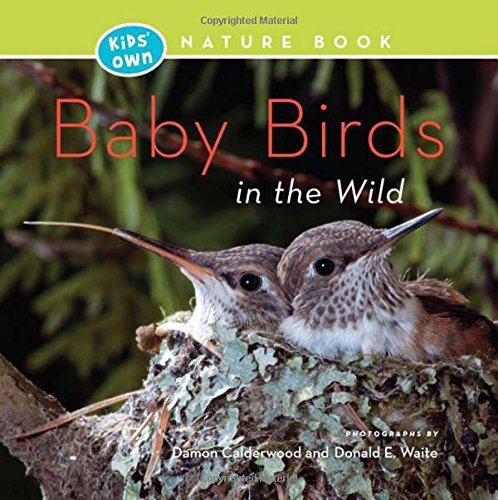 Cover of Baby Birds in the Wild