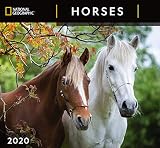 National Geographic Horses 2020 Wall Calendar
