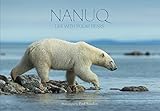 Nanuq Life With Polar Bears