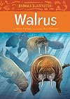 Walrus
