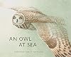An Owl at Sea