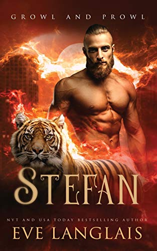 Stefan book cover