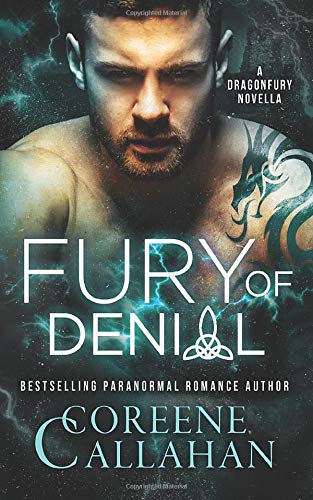 Fury of Denial book cover