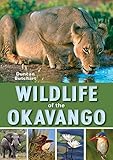 Wildlife Of The Okavango