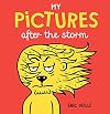 My Pictures After the Storm