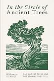 In the circle of ancient trees