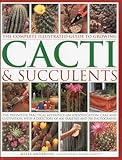 The Complete Illustrated Guide To Growing Cacti Succulents
