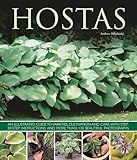 Hostas An Illustrated Guide To Varieties Cultivation And Care With Stepbystep Instructions And Over 130 Beautiful Photographs