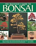 The Beginners Guide To Bonsai How To Create And Maintain Beautiful Miniature Trees And Shrubs Shown In More Than 230 Stepbystep Photographs