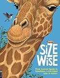 Amazon cover image