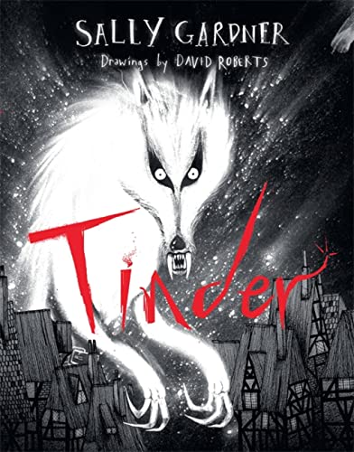 Cover of Tinder