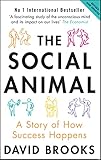 The Social Animal A Story Of How Success Happens