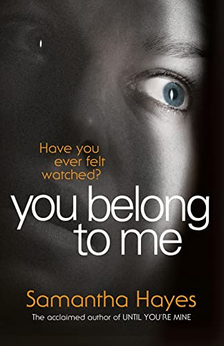 You Belong To Me book cover