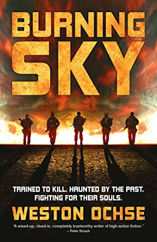 Burning Sky book cover