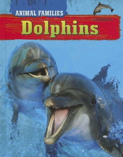 Cover of Dolphins