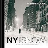New York In The Snow