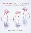 Wildlife Photography: An expert guide