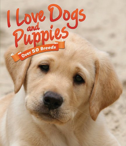 Cover of I Love