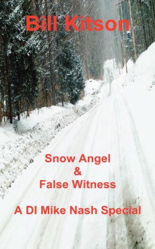 Snow Angel / False Witness book cover