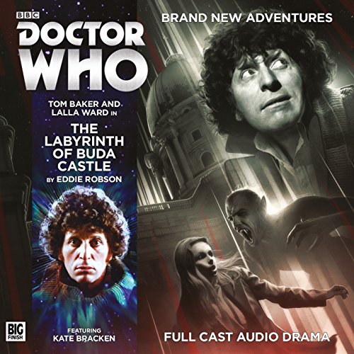 The Labyrinth of Buda Castle book cover