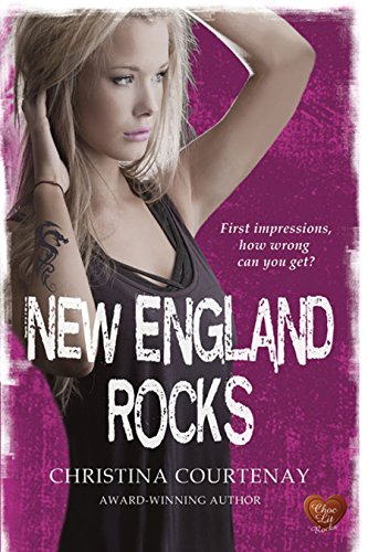 New England Rocks book cover