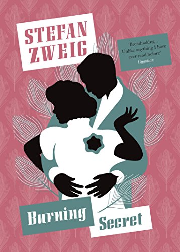 Burning Secret book cover