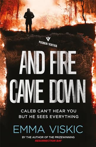 And Fire Came Down book cover