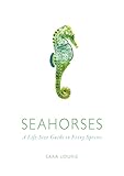 Seahorses A Lifesize Guide To Every Species