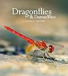 Dragonflies & Damselfies: A natural history