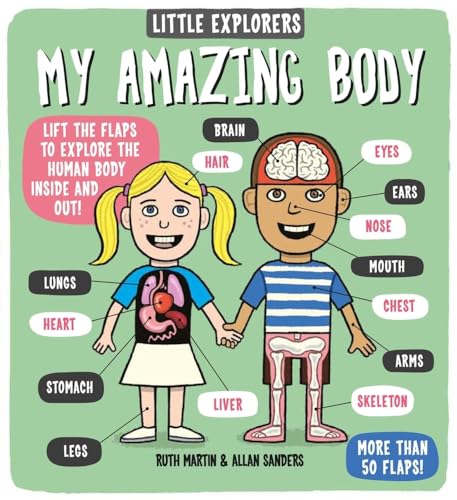 Cover of My Amazing Body