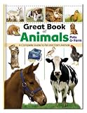 Amazon cover image