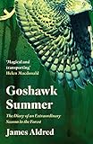 Goshawk Summer