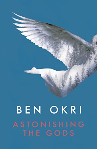 Astonishing the Gods book cover