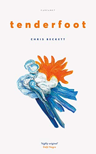 Tenderfoot book cover
