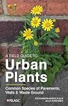 A Field Guide to Urban Plants: Common Species of Pavements, Walls and Waste Ground (Pelagic Identification Guides)