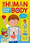 Human Body Model Book