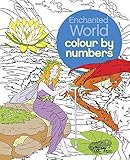 Enchanted World Colour By Numbers