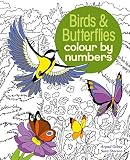 Birds Butterflies Colour By Numbers