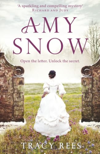 Amy Snow book cover