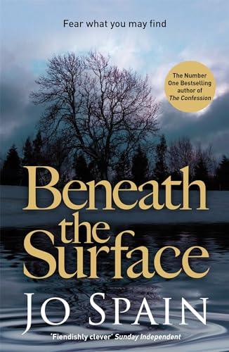 Beneath the Surface book cover