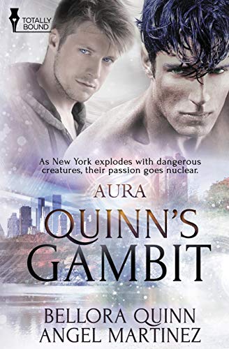 Quinn's Gambit book cover