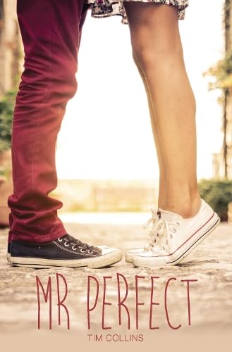 Mr. Perfect book cover