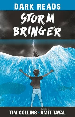 Storm Bringer book cover