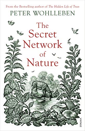 The Secret Network of Nature book cover